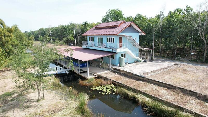 ขาย - ถนนรังสิต - นครนายก - ปทุมธานี ตำบลศาลาครุ อำเภอหนองเสือ จังหวัดปทุมธานี, ปทุมธานี