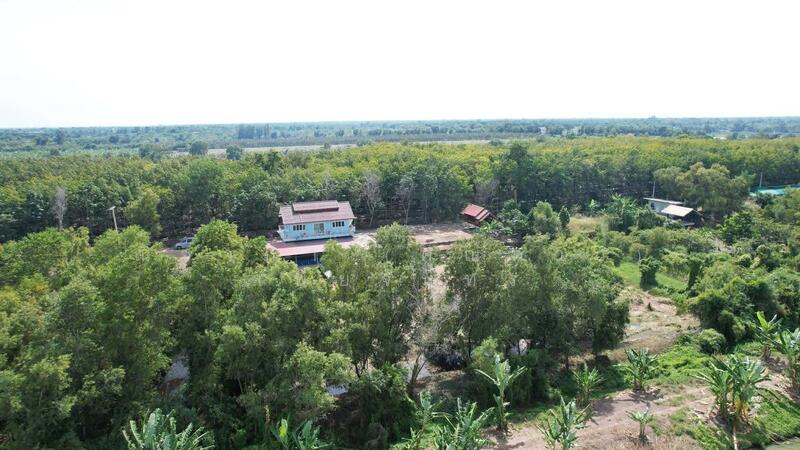 ขาย - ถนนรังสิต - นครนายก - ปทุมธานี ตำบลศาลาครุ อำเภอหนองเสือ จังหวัดปทุมธานี, ปทุมธานี