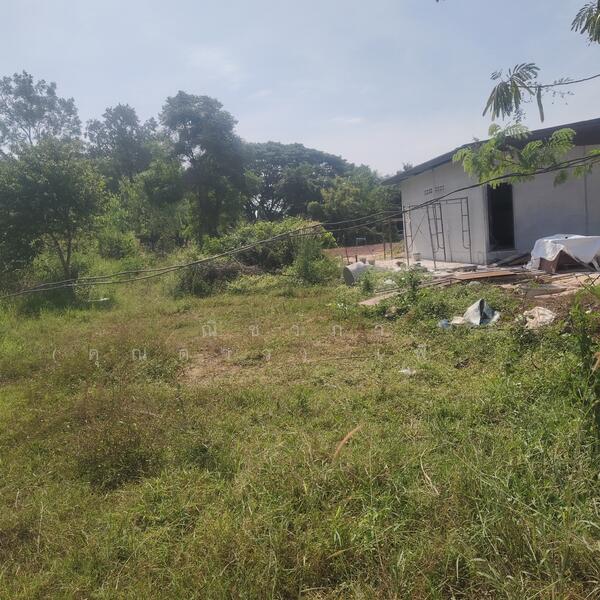 ขาย - ถนนรังสิต - นครนายก - ปทุมธานี ตำบลศาลาครุ อำเภอหนองเสือ จังหวัดปทุมธานี, ปทุมธานี