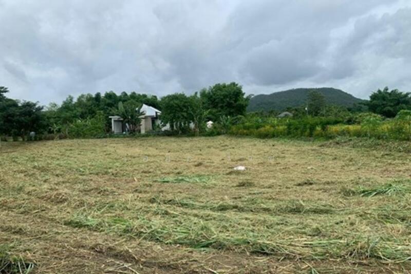 ขาย - Nam Phrae, เชียงใหม่