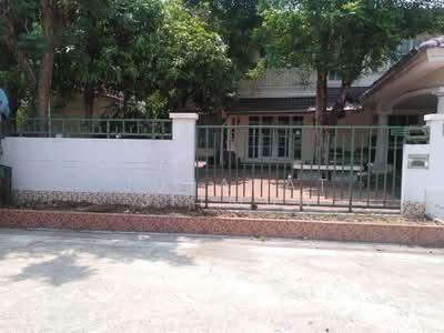 ขาย - ปาริชาต บางคูวัด, ปทุมธานี