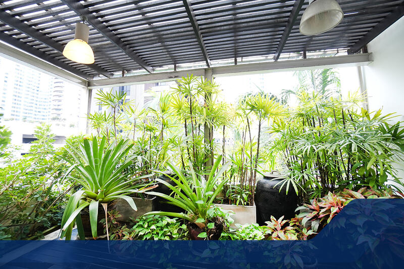 For Sale - สุขุมวิท 20, Bangkok