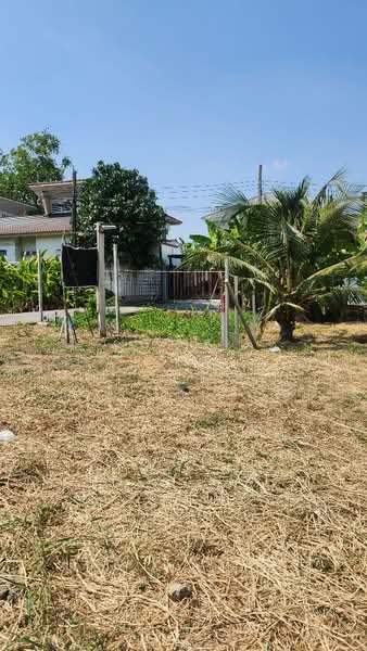 ที่ดินพระประแดง สมุทรปราการ, สมุทรปราการ, บางน้ำผึ้ง, พระประแดง, สมุทรปราการ, 2,824 ตร.ม., ที่ดิน ขาย, โดย The Best Property เค้ก, 500054353 - DDproperty.com