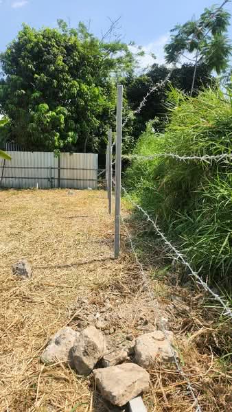 ที่ดินพระประแดง สมุทรปราการ, Samut Prakan, Bang Nam Phang, Phra Pra Daeng, Samut Prakan, , 2,824 sqm, Land For Sale, by The Best Property เค้ก, 500054353 - DDproperty.com