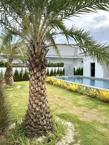 ให้เช่า - CoCo Hua Hin 88 : โคโค่ หัวหิน 88, ประจวบคีรีขันธ์