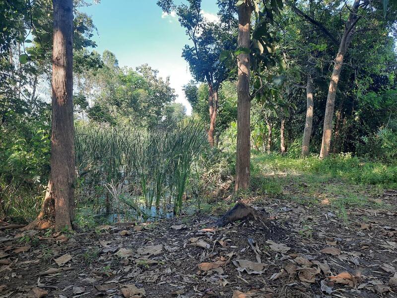 For Sale - ท่ามะกา, Kanchanaburi