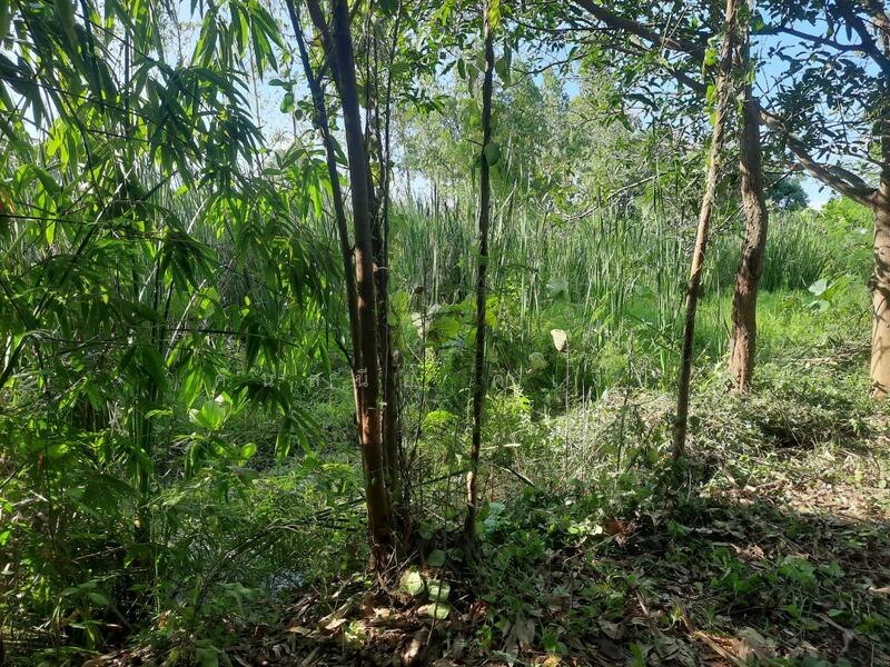 For Sale - ท่ามะกา, Kanchanaburi