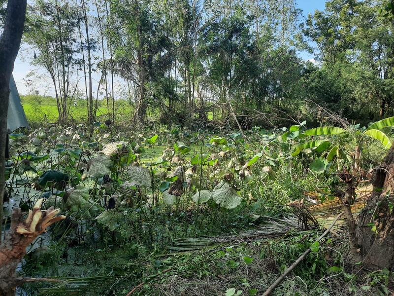 For Sale - ท่ามะกา, Kanchanaburi