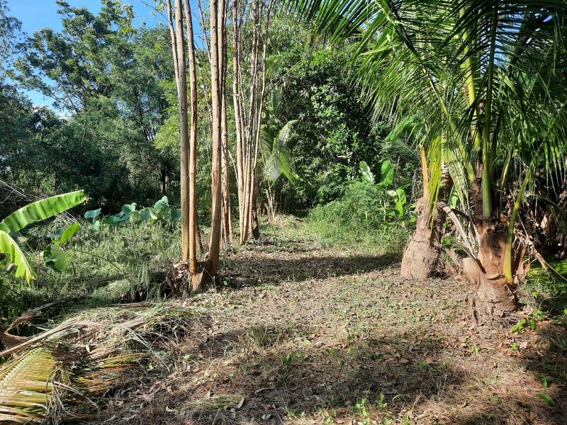 For Sale - ท่ามะกา, Kanchanaburi