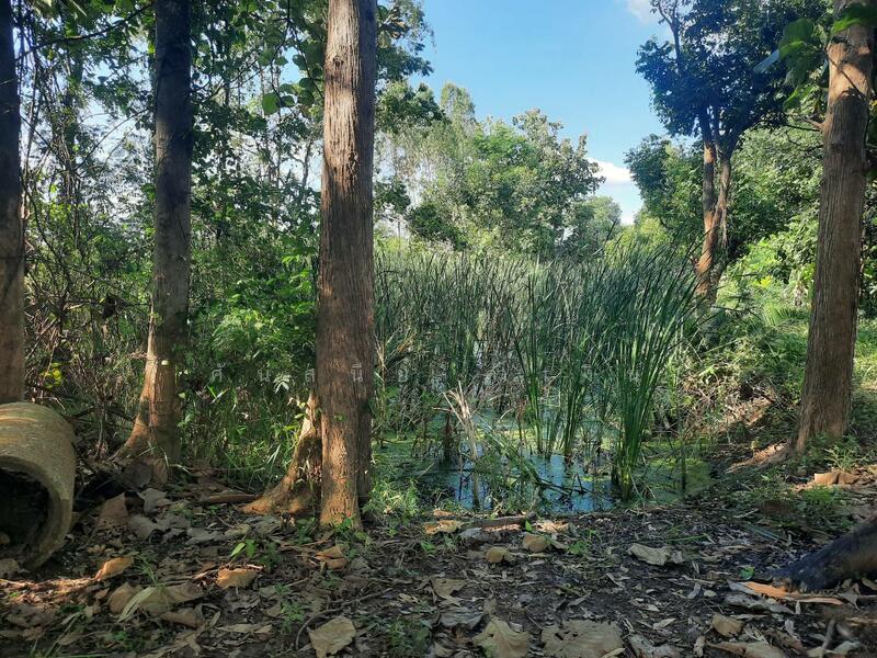 For Sale - ท่ามะกา, Kanchanaburi