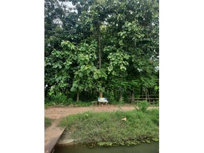 ขาย - ท่ามะกา, กาญจนบุรี