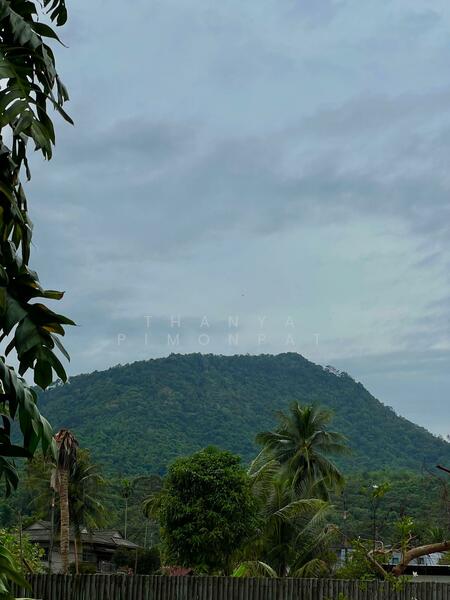 ขาย - วิลล่าพูล 3 ห้องนอนพร้อมการตกแต่งภายในสไตล์สแกนดิเนเวียในแม่น้ำ, สุราษฎร์ธานี