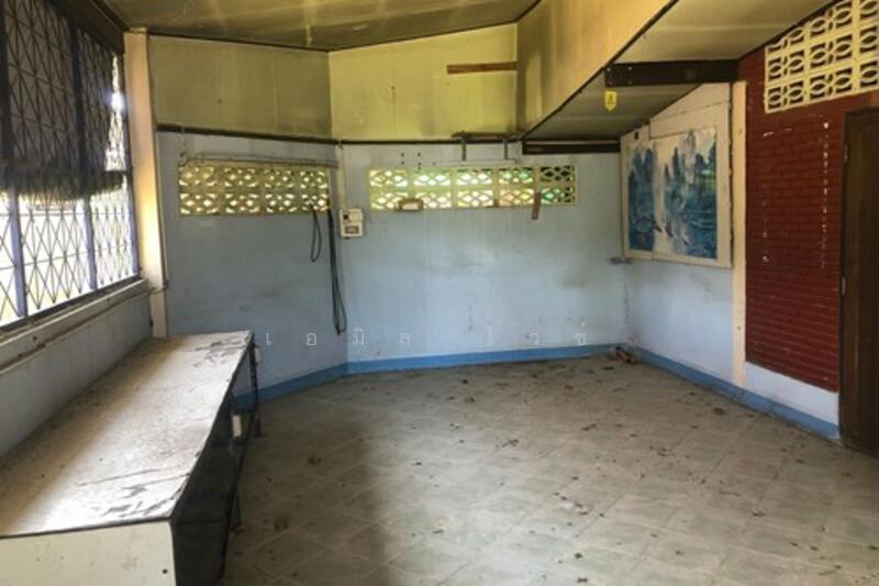 ขาย - Mae Faek, เชียงใหม่