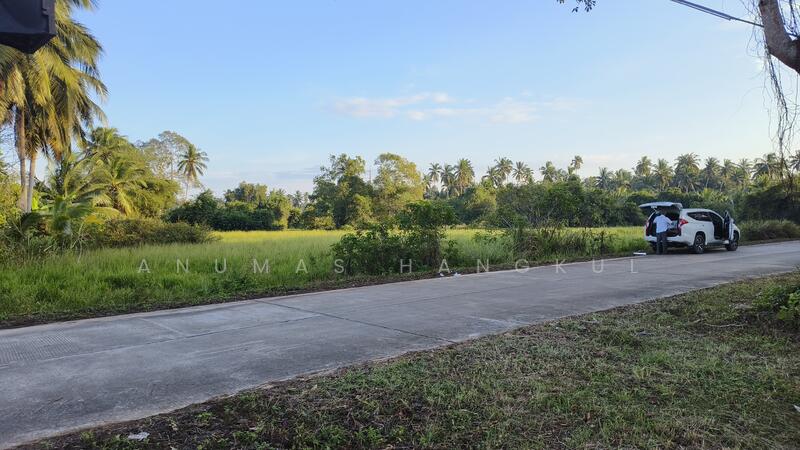 ขาย - ขายด่วน ที่ดินติดถนนทางหลวงใกล้สี่แยกโจ่ย, ประจวบคีรีขันธ์