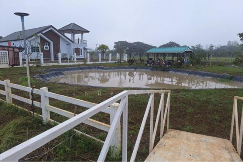 ขาย - Mueang Lamphun, ลำพูน