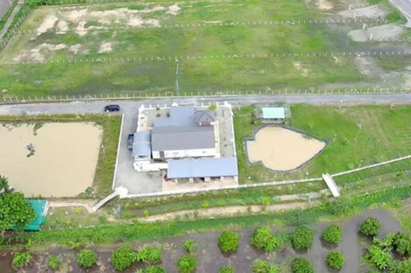 ขาย - Mueang Lamphun, ลำพูน