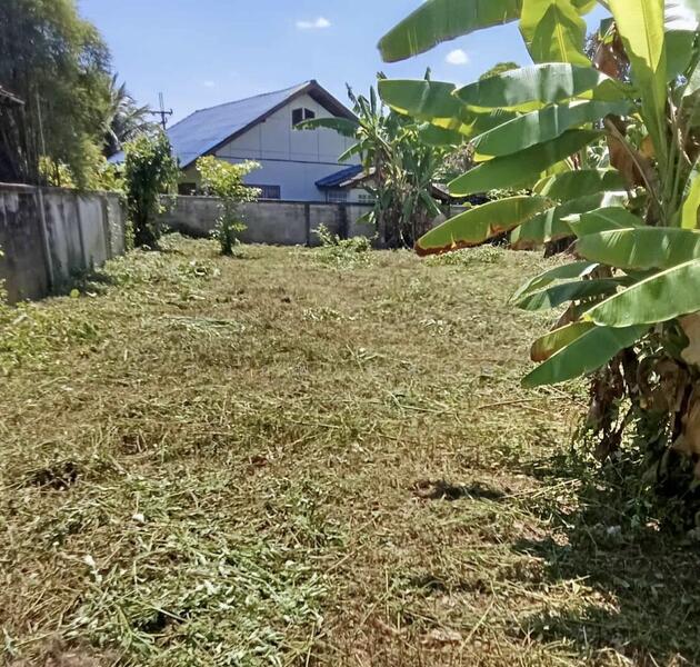 For Sale - ฝาง, Chiang Mai