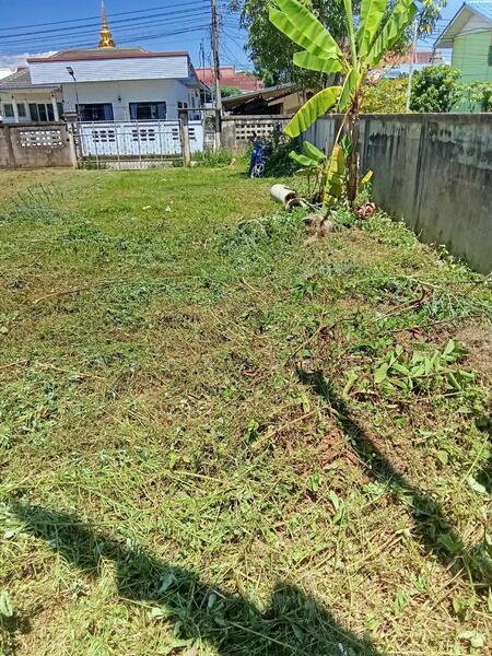 For Sale - ฝาง, Chiang Mai