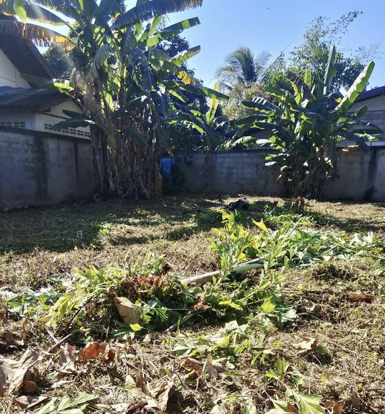 For Sale - ฝาง, Chiang Mai