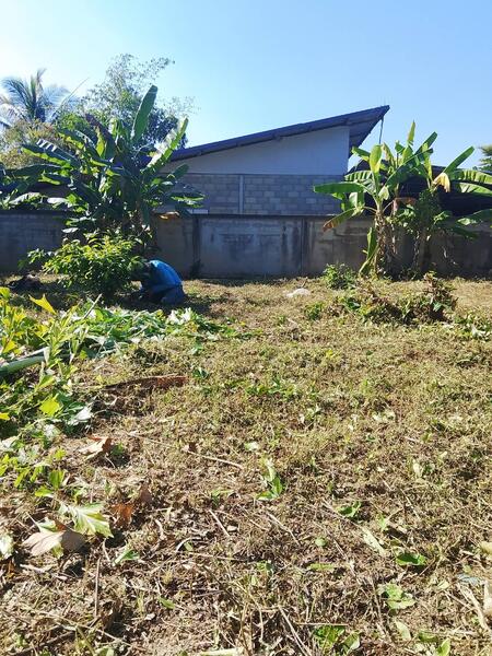 For Sale - ฝาง, Chiang Mai