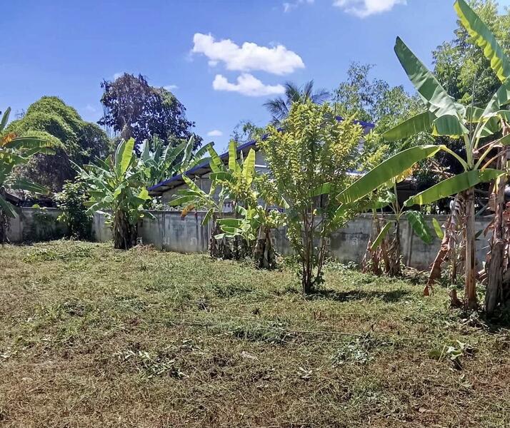 For Sale - ฝาง, Chiang Mai