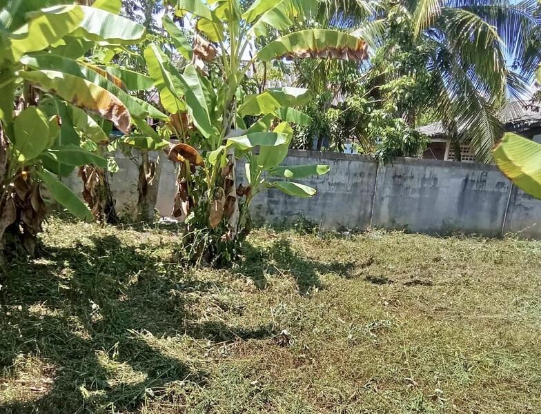 For Sale - ฝาง, Chiang Mai