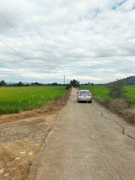 ขาย - ที่ดินบึงสามพัน เพชรบูรณ์, เพชรบูรณ์