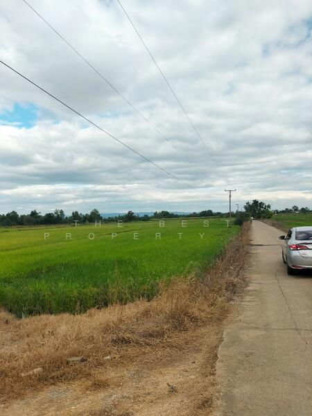 ขาย - ที่ดินบึงสามพัน เพชรบูรณ์, เพชรบูรณ์