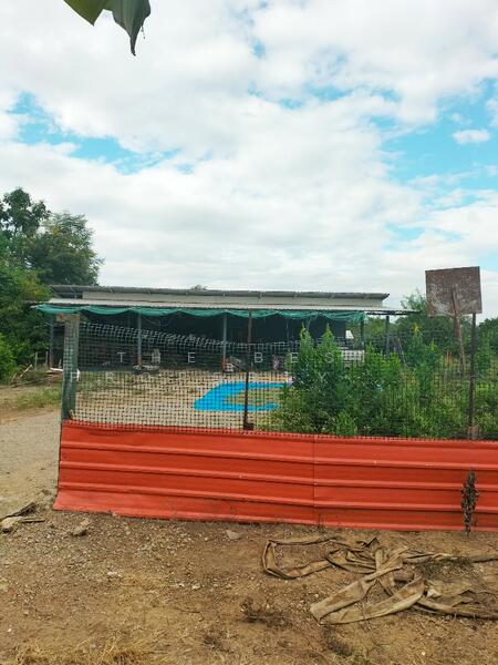 For Sale - ที่ดินบึงสามพัน เพชรบูรณ์, Phetchabun