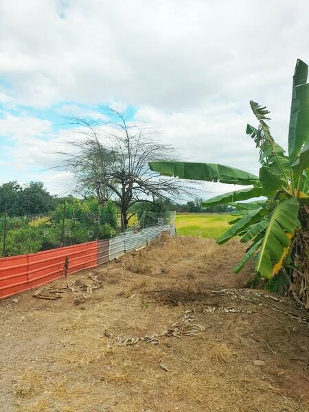 For Sale - ที่ดินบึงสามพัน เพชรบูรณ์, Phetchabun