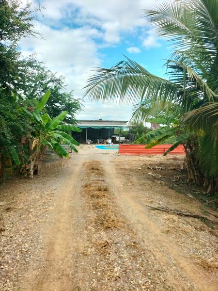 For Sale - ที่ดินบึงสามพัน เพชรบูรณ์, Phetchabun