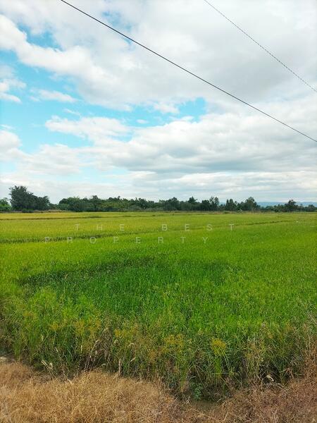 ขาย - ที่ดินบึงสามพัน เพชรบูรณ์, เพชรบูรณ์