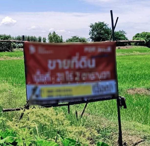 ที่ดินบึงสามพัน เพชรบูรณ์, เพชรบูรณ์, กันจุ, บึงสามพัน, เพชรบูรณ์, 33,608 ตร.ม., ที่ดิน ขาย, โดย The Best Property อ๊อด, 500055621 - DDproperty.com