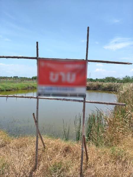 ที่ดินบางปะกง ฉะเชิงเทรา, Chachoengsao, Song Khlong, Bang Pakong, Chachoengsao, , 3,200 sqm, Land For Sale, by The Best Property อ๊อด, 500055670 - DDproperty.com