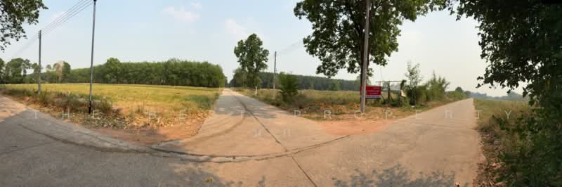 ที่ดินนิคมสงเคราะห์ อุดรธานี, Udon Thani, Ni Kom Song Khro, Muang Udon Thani, Udon Thani, , 1,312 sqm, Land For Sale, by The Best Property นก, 500055842 - DDproperty.com