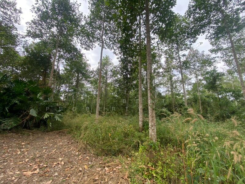 For Sale - ที่ดินแกลง ระยอง, Rayong