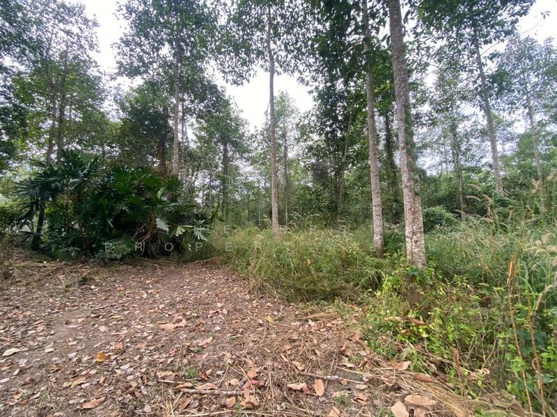 For Sale - ที่ดินแกลง ระยอง, Rayong