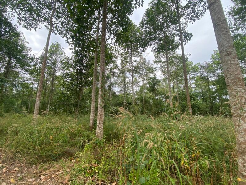 For Sale - ที่ดินแกลง ระยอง, Rayong