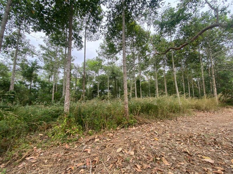 For Sale - ที่ดินแกลง ระยอง, Rayong