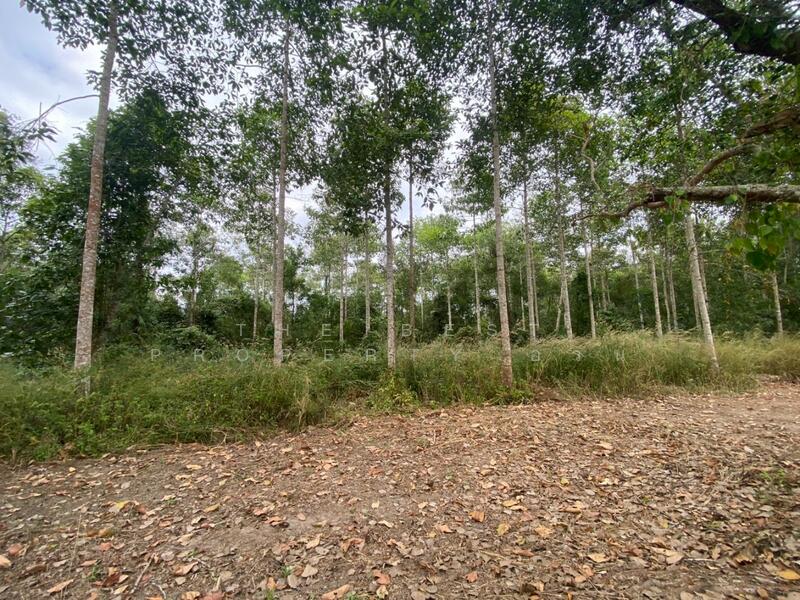 For Sale - ที่ดินแกลง ระยอง, Rayong