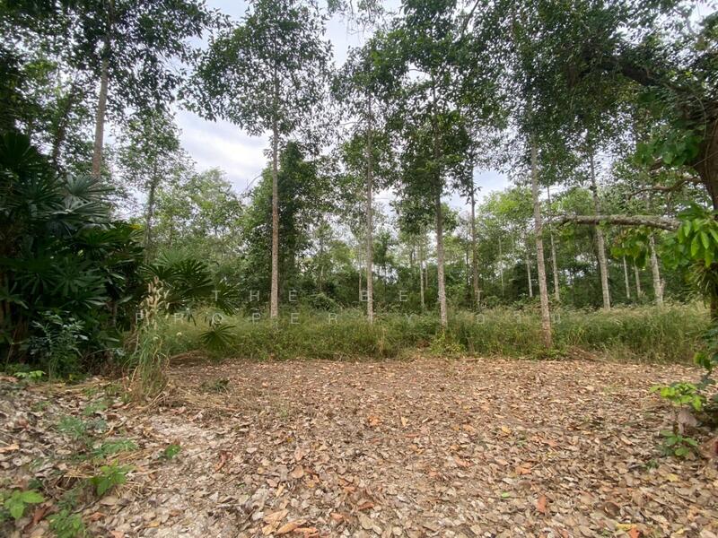 For Sale - ที่ดินแกลง ระยอง, Rayong