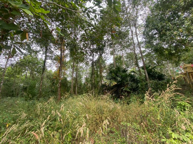 For Sale - ที่ดินแกลง ระยอง, Rayong