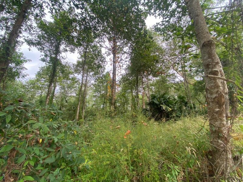 For Sale - ที่ดินแกลง ระยอง, Rayong