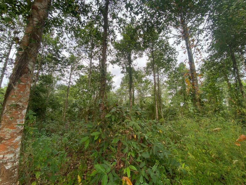 For Sale - ที่ดินแกลง ระยอง, Rayong