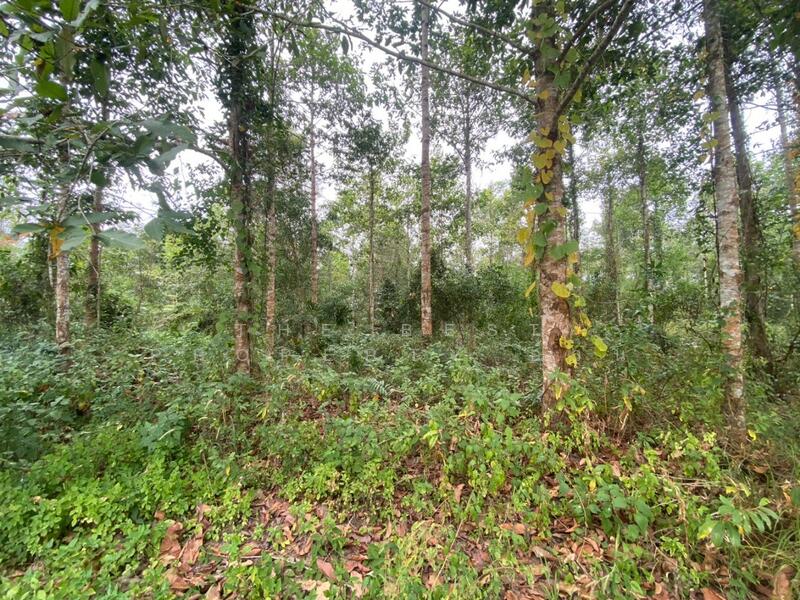 For Sale - ที่ดินแกลง ระยอง, Rayong