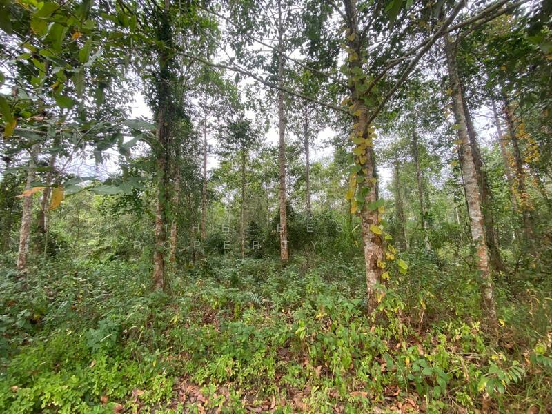 For Sale - ที่ดินแกลง ระยอง, Rayong