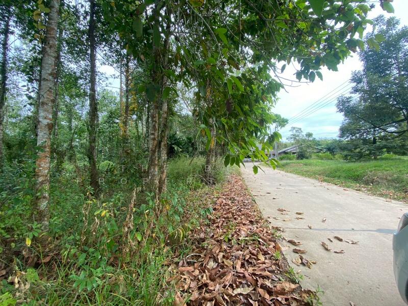 For Sale - ที่ดินแกลง ระยอง, Rayong