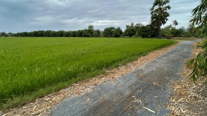 ที่ดิน 9-3-99.5 ไร่ ดอนโพธิ์ สวนแตง ทำเลดี, สุพรรณบุรี, ถนนมาลัยแมน, ดอนโพธิ์ทอง, เมืองสุพรรณบุรี, สุพรรณบุรี, 15,996 ตร.ม., ที่ดิน ขาย, โดย คุณ มณีรัตน์ (เจี๊ยบ), 500056641 - DDproperty.com