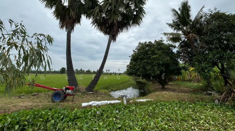 ที่ดิน 9-3-99.5 ไร่ ดอนโพธิ์ สวนแตง ทำเลดี, Suphan Buri, ถนนมาลัยแมน, Don Pho Thong, Muang Suphanburi, Suphan Buri, , 15,996 sqm, Land For Sale, by คุณ มณีรัตน์ (เจี๊ยบ), 500056641 - DDproperty.com