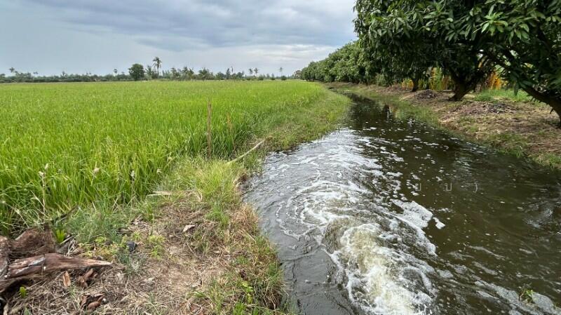 ที่ดิน 9-3-99.5 ไร่ ดอนโพธิ์ สวนแตง ทำเลดี, สุพรรณบุรี, ถนนมาลัยแมน, ดอนโพธิ์ทอง, เมืองสุพรรณบุรี, สุพรรณบุรี, 15,996 ตร.ม., ที่ดิน ขาย, โดย คุณ มณีรัตน์ (เจี๊ยบ), 500056641 - DDproperty.com